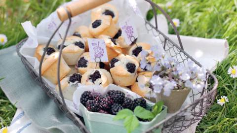 Mini-muffins aux mûres